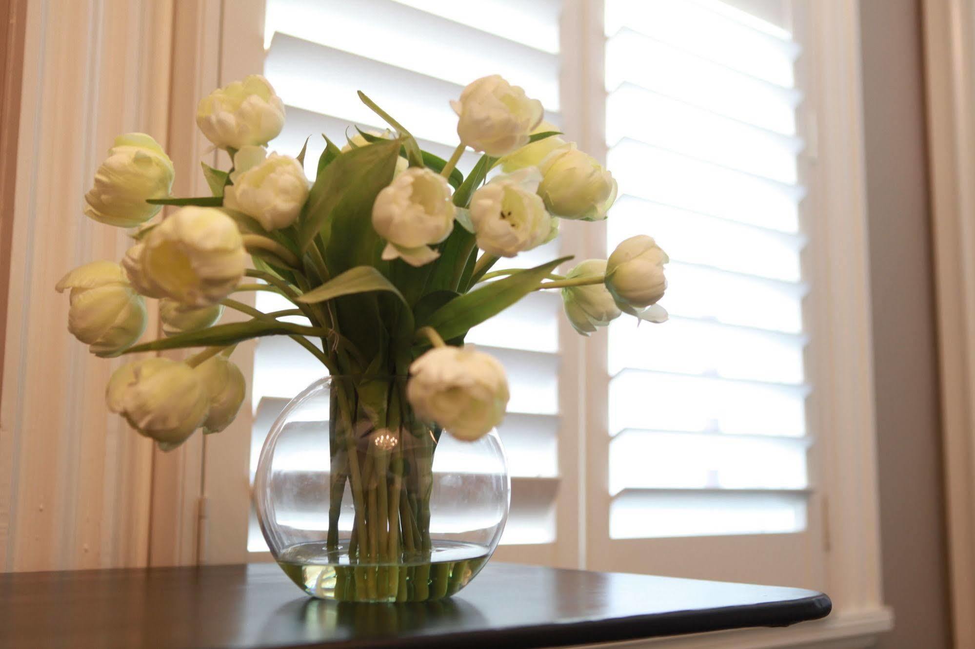 Ballarat Premier Apartments מראה חיצוני תמונה
